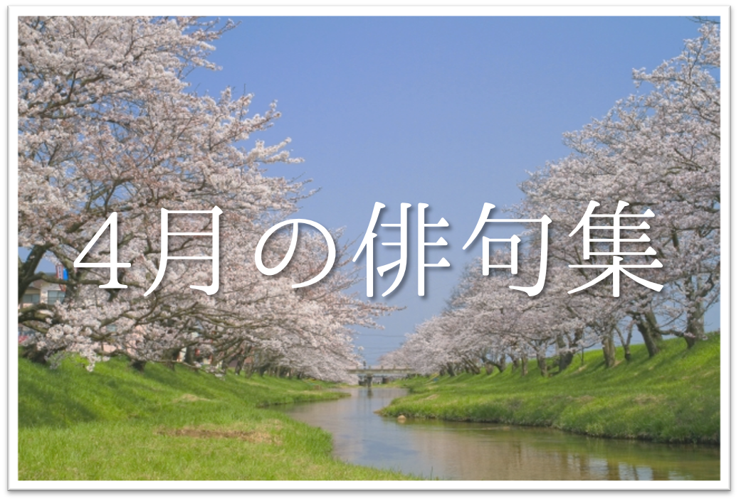 4月の有名俳句 選 すごく上手い 季語を含んだおすすめ俳句
