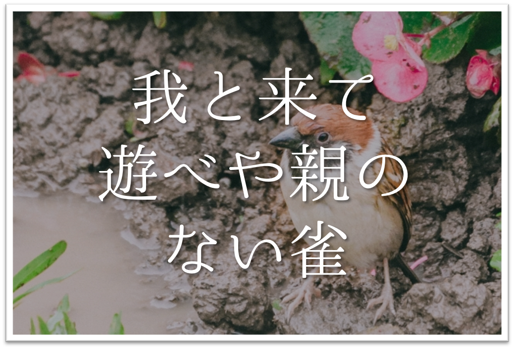 我と来て遊べや親のない雀 俳句の季語や意味 表現