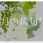 【6月の有名俳句 30選】すごく上手い!!季語を含んだおすすめ俳句作品集を紹介!