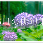 【梅雨の俳句 40選】知っておきたい!!季語を含むおすすめ有名＆一般俳句ネタを紹介