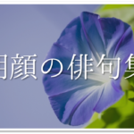【ひまわりの俳句 40選】中学生向け!!季語「向日葵」を使った俳句作品集を紹介!