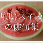 【中学生向け俳句集 30選】夏休みの宿題に最適!!夏の季語を含んだオススメ俳句作品集を紹介!