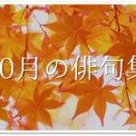 【10月の一般俳句ネタ 30選】小•中学生向け!!秋に関する面白い&上手な俳句例を紹介