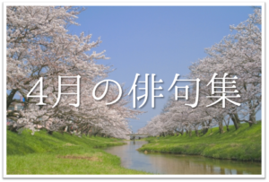 【4月の有名俳句 30選】すごく上手い!!季語を含んだおすすめ俳句作品集を紹介！