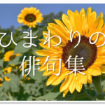 【朝顔の有名俳句 40選】すごく上手い!!季語を含んだおすすめ俳句作品集を紹介!