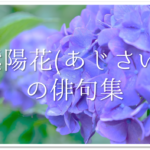 【紫陽花の俳句の作り方】簡単!!アジサイの季語を含む夏の俳句の作成方法を紹介