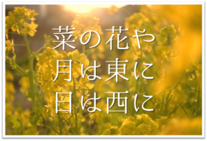 菜の花や月は東に日は西に 俳句の季語や意味 表現技法 鑑賞文 作者など徹底解説 俳句の教科書 俳句の作り方 有名俳句の解説サイト