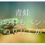 俳句の切れ字の覚え方 簡単にわかりやすく解説 意味や効果 種類など