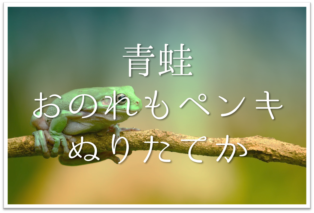 青蛙おのれもペンキぬりたてか 俳句の季語や意味 表現技法 鑑賞文 作者