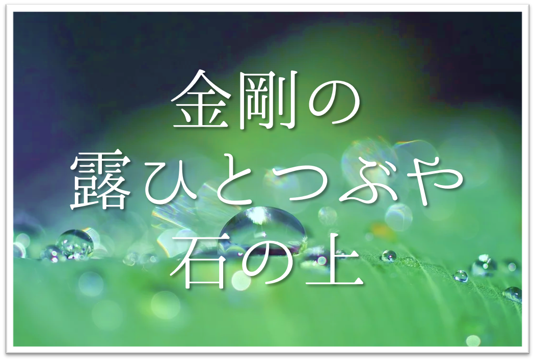 金剛の露ひとつぶや石の上 俳句の季語や意味 表現技法 鑑賞 作者の心情や魅力 など徹底解説 俳句の教科書 俳句の作り方 有名俳句の解説サイト