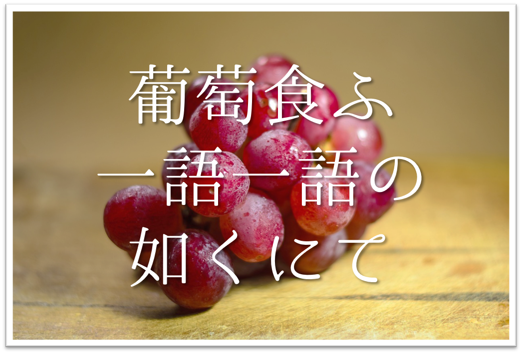 葡萄食ふ一語一語の如くにて 俳句の季語や意味