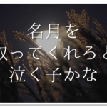 俳句の切れ字の覚え方 簡単にわかりやすく解説 意味や効果 種類など