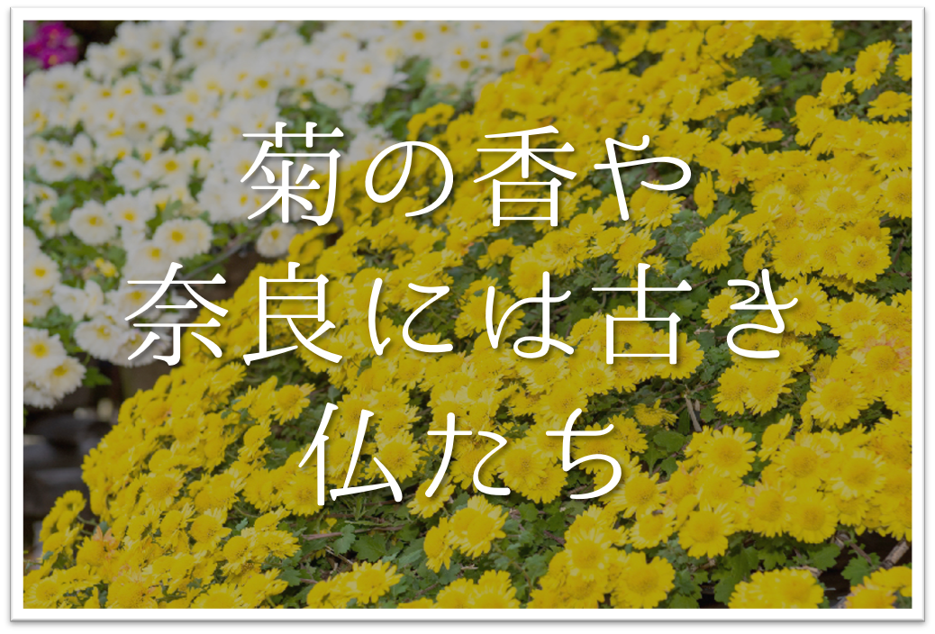 菊の香や奈良には古き仏たち 俳句の季語や意味 表現