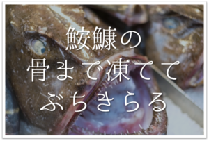 白牡丹といふといへども紅ほのか 俳句の季語や意味 表現技法 鑑賞 作者など徹底解説 俳句の教科書 俳句の作り方 有名俳句の解説サイト