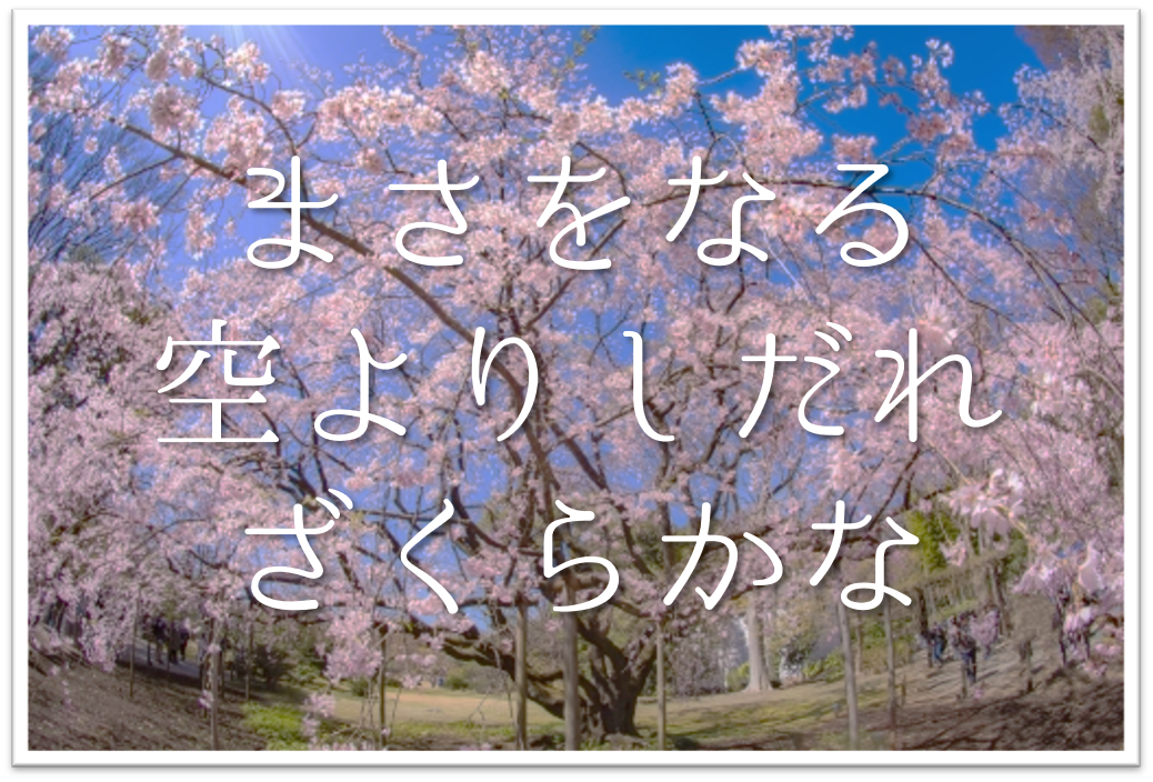 まさをなる空よりしだれざくらかな 俳句の季語や意味 表現技法