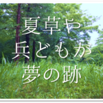 夏の俳句 おすすめ選 中学生向け 夏の季語を使った俳句作品集を紹介