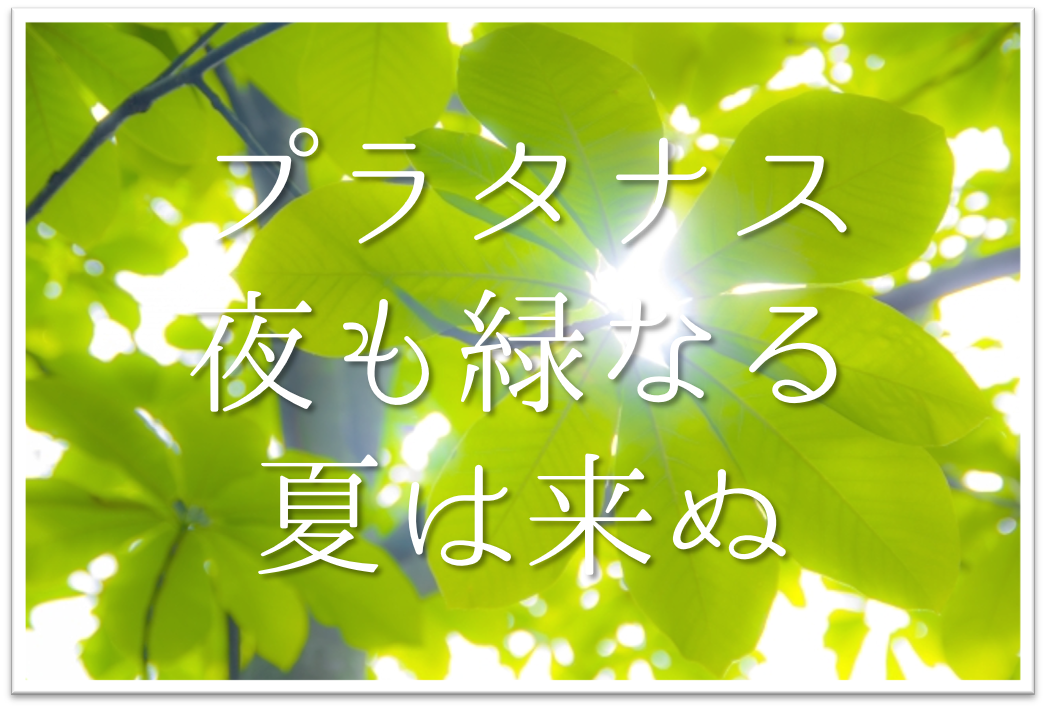 プラタナス夜も緑なる夏は来ぬ 俳句の季語や意味 表現技法