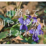 3月の有名俳句 選 すごく上手い 季語を含んだおすすめ俳句作品集を紹介