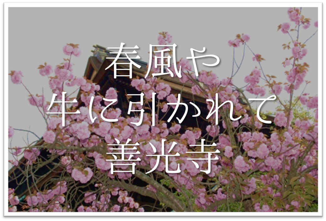 春風や牛に引かれて善光寺 俳句の季語や意味 表現技法 作者