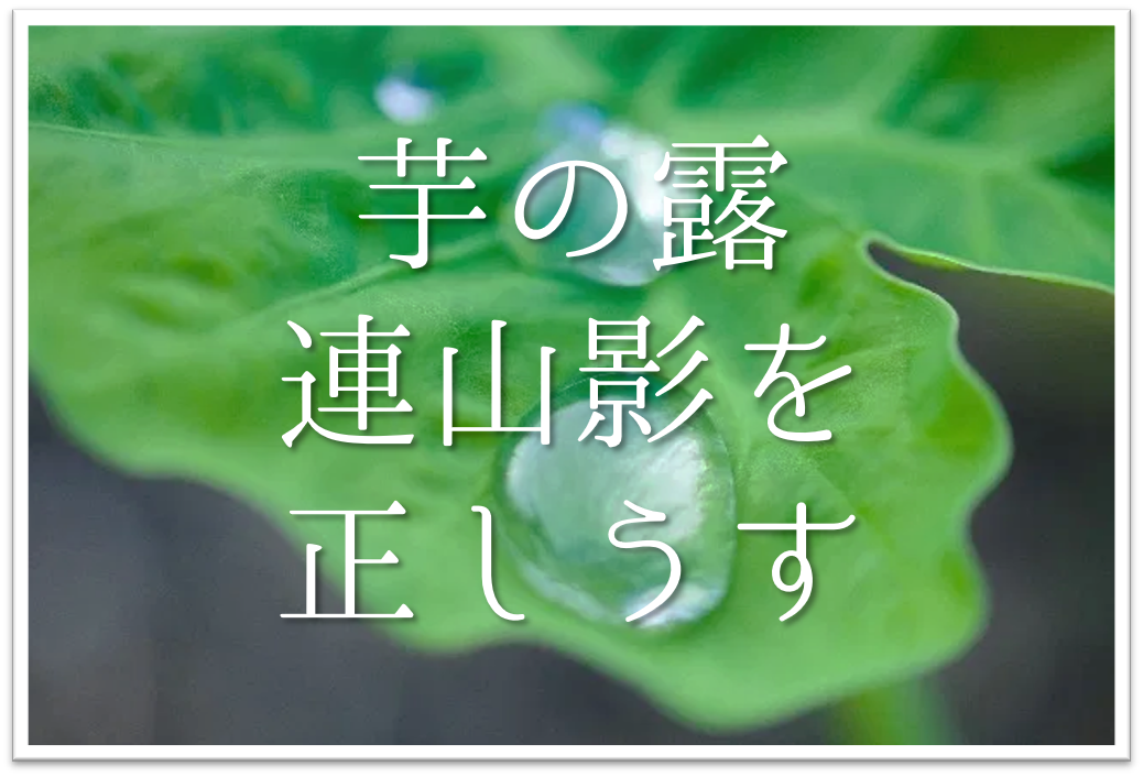 芋の露連山影を正しうす 俳句の季語や意味 表現技法