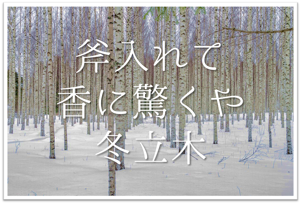 斧入れて香におどろくや冬立木 俳句の季語や意味 表現技法