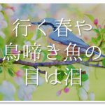 春の俳句 おすすめ選 小学生向け 春の季語を使った俳句例 一覧 を紹介