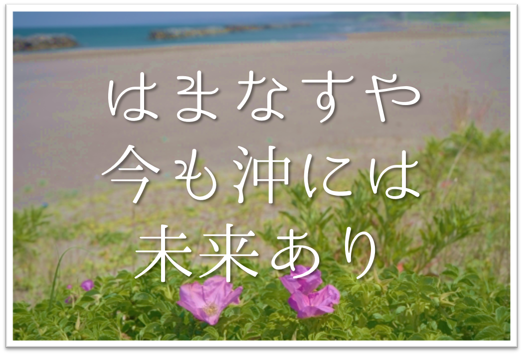 はまなすや今も沖には未来あり 俳句の季語や意味 表現技法