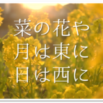 【春の有名俳句 40選】春を感じる句・一覧！季語を含むおすすめ俳人名句を紹介
