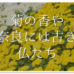 【秋の有名俳句 40選】秋を感じるおすすめ名句!!季語を含むおすすめ俳人名句【一覧】
