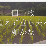 【野を横に馬牽むけよほととぎす】俳句の季語や意味・表現技法・鑑賞など徹底解説!!