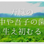【中村草田男の俳句 36選】代表作(有名句)はこれ!!俳句の特徴や人物像など徹底解説！