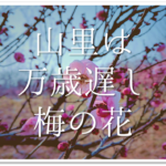 【2月の有名俳句 30選】すごく上手い!!季語を含んだおすすめ俳句作品集を紹介!
