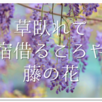【松尾芭蕉の有名俳句 50選】知っておきたい!!俳句の特徴や人物像･代表作など徹底解説！