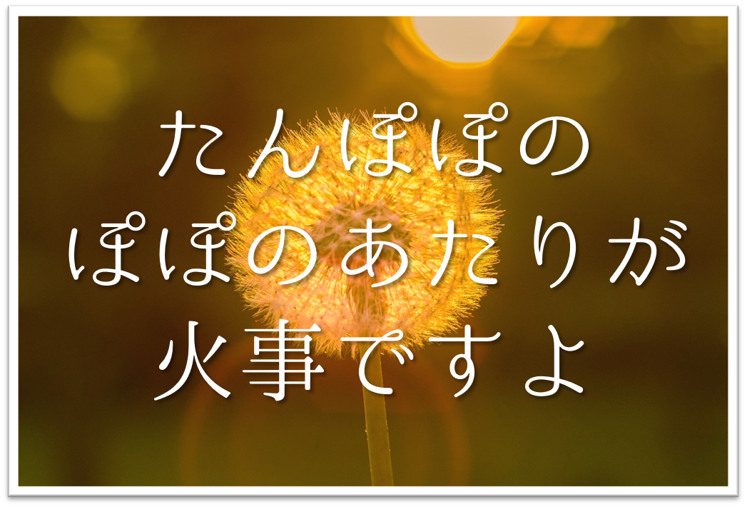 たんぽぽのぽぽのあたりが火事ですよ 俳句の季語や意味 表現