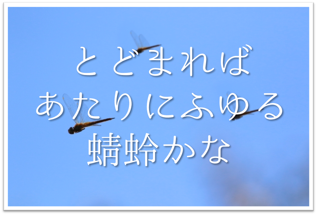 とどまればあたりにふゆる蜻蛉かな 俳句の季語や意味 表現技法 鑑賞文 作者など徹底解説 俳句の教科書 俳句の作り方 有名俳句の解説サイト