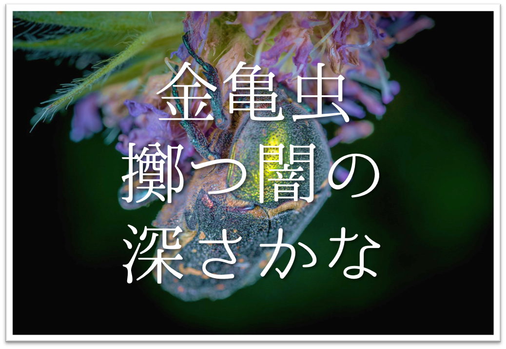 金亀虫擲つ闇の深さかな 俳句の季語や意味 表現技法 鑑賞