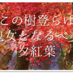 【秋の有名俳句 40選】秋を感じるおすすめ名句!!季語を含むおすすめ俳人名句【一覧】