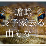 【中村草田男の俳句 36選】代表作(有名句)はこれ!!俳句の特徴や人物像など徹底解説！