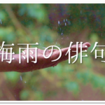 6月の有名俳句 選 すごく上手い 季語を含んだおすすめ俳句作品集を紹介