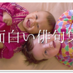 【小学生向け】星の俳句 30選!!春夏秋冬の季語を使ったいろんな俳句ネタを紹介