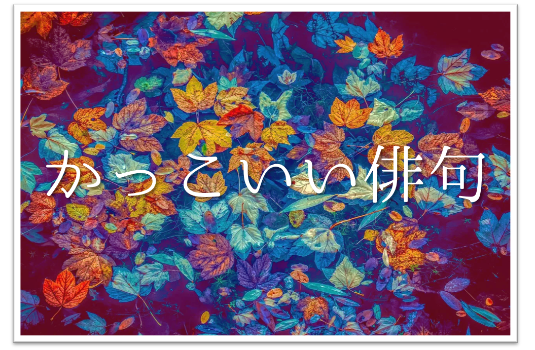 【かっこいい俳句 40選】春・夏・秋・冬!!季語を含むおすすめ一般俳句作品を紹介！