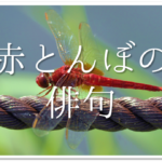【運動会の俳句集 30選】小学生向け!!秋の季語を使った有名•俳句作品ネタを紹介