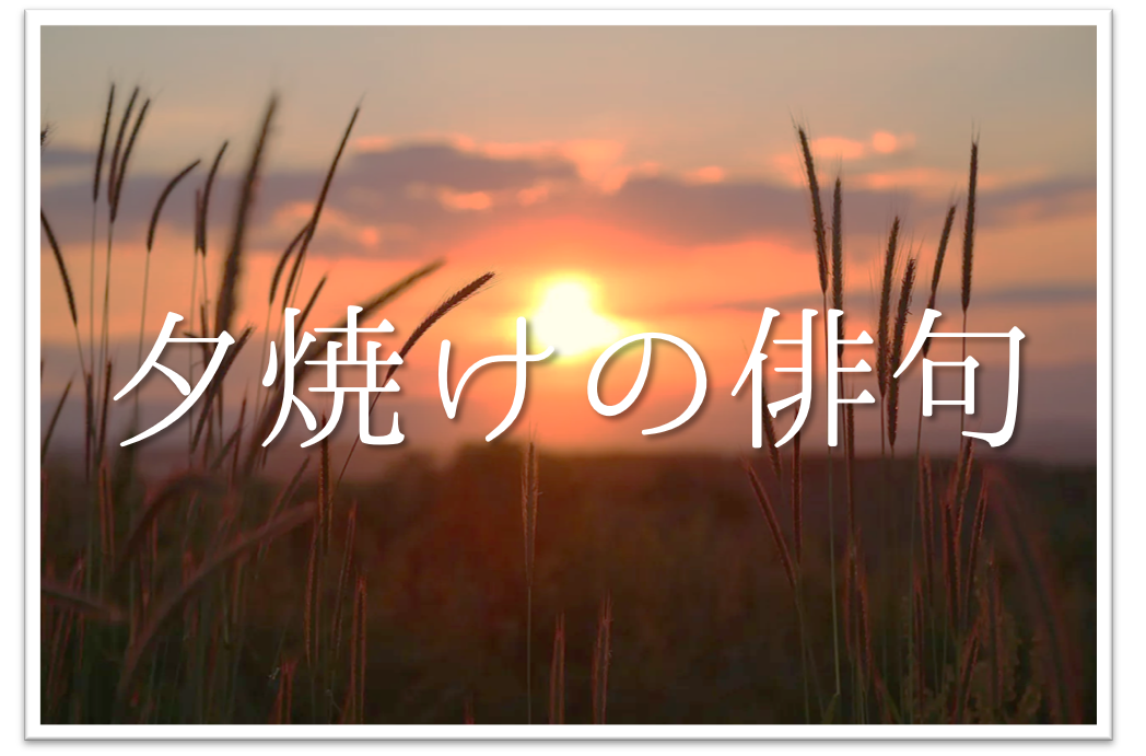 【夕焼けの俳句 40選】知っておきたい!!季語を含むおすすめ有名＆一般俳句を紹介！