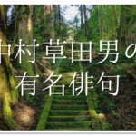 降る雪や明治は遠くなりにけり】俳句の季語や意味・作者「中村