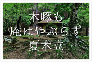 卯の花に兼房見ゆる白毛かな 俳句の季語や意味 表現技法 鑑賞文 作者など徹底解説 俳句の教科書 俳句の作り方 有名俳句の解説サイト