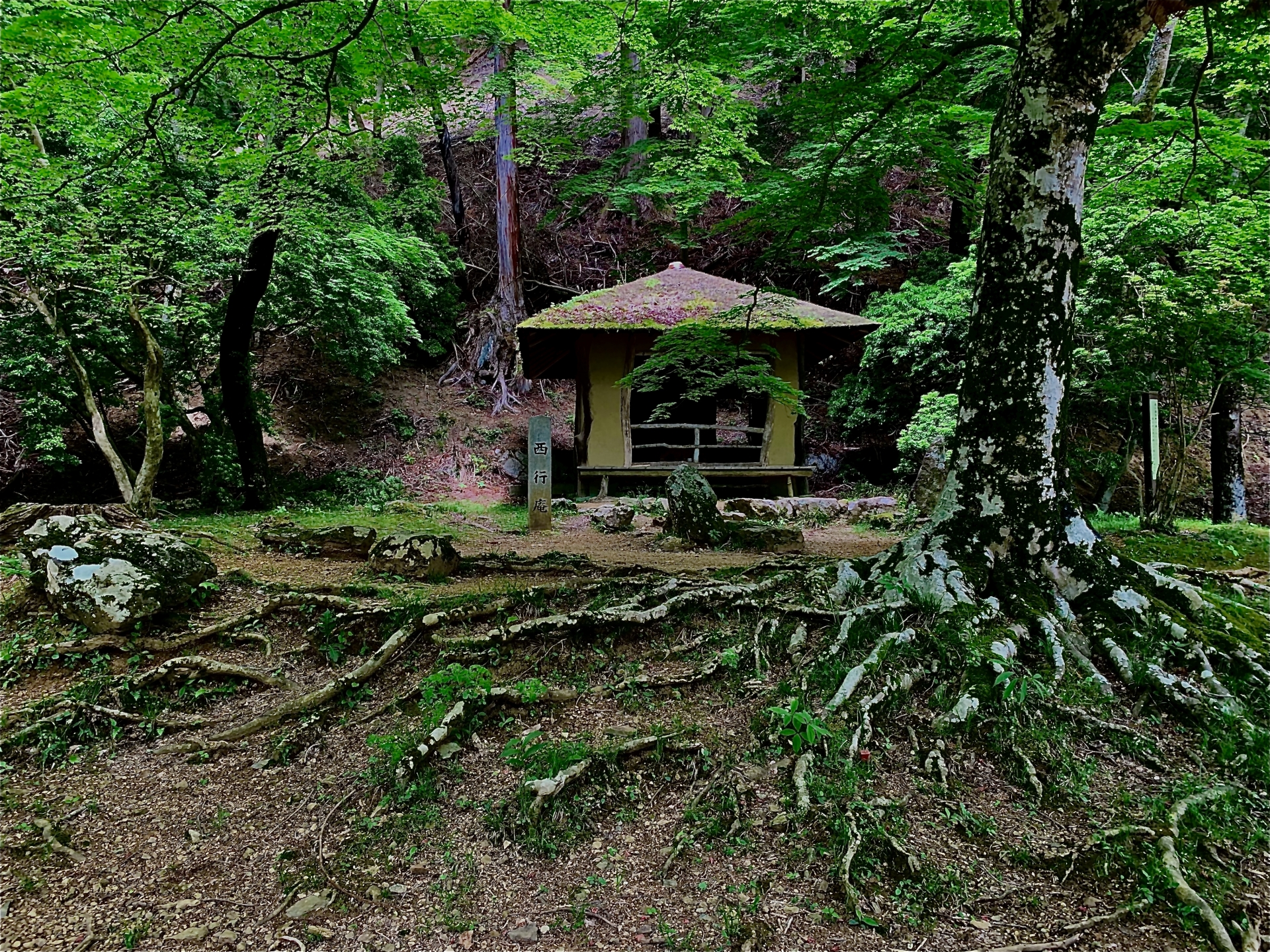 木啄も庵はやぶらず夏木立 俳句の季語や意味 表現技法 鑑賞 作者など徹底解説 俳句の教科書 俳句の作り方 有名俳句の解説サイト