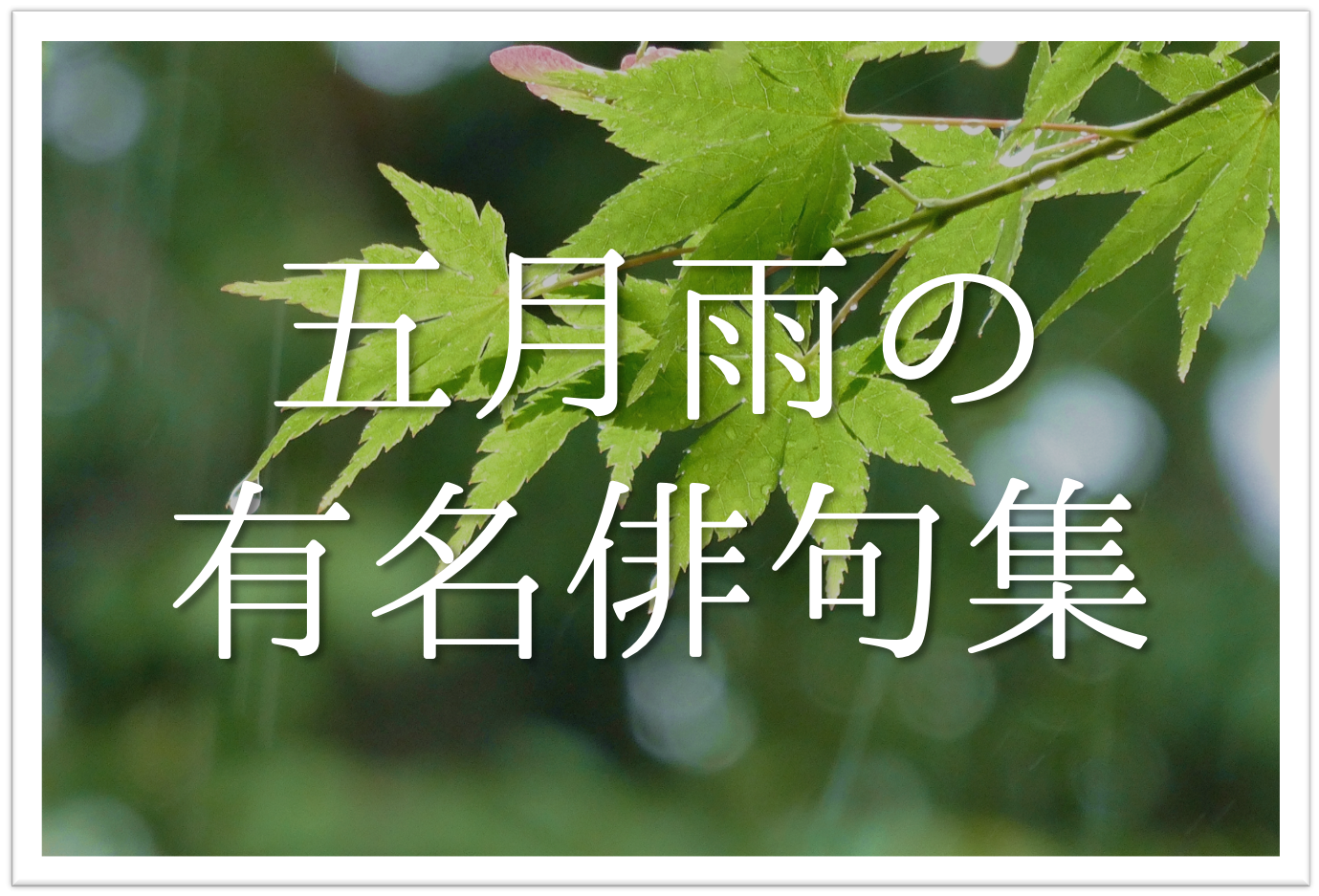 五月雨の有名俳句 選 知っておきたい 季語を含んだおすすめ俳句を紹介 俳句の教科書 俳句の作り方 有名俳句の解説サイト