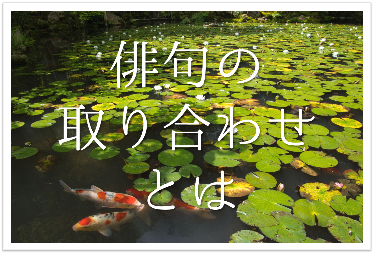 俳句の取り合わせとは 簡単にわかりやすく解説 意味や効果 例文 コツ
