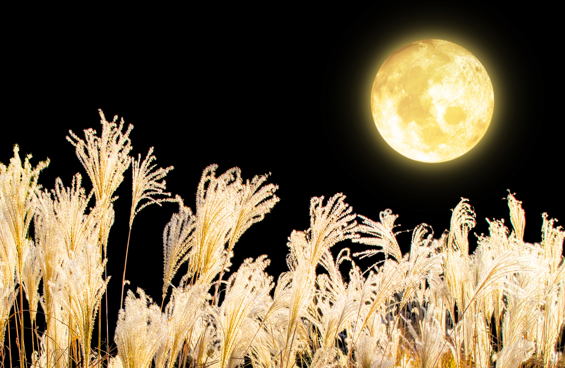 【月の俳句 40選】秋の季語!!夜空に輝く美しい月の有名句＆一般俳句ネタを紹介 俳句の教科書｜俳句の作り方・有名俳句の解説サイト