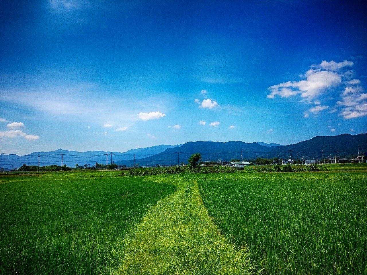 美しい有名俳句集 選 春夏秋冬 季語を含むおすすめ俳句を紹介